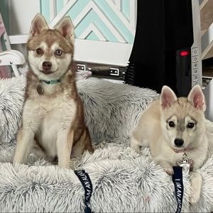 Meet your Posher, Elisa